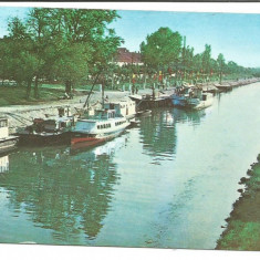 @carte postala(ilustrata) -TIMISOARA- Pe canalul Bega