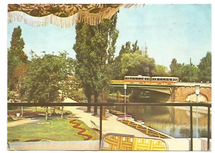 @carte postala(ilustrata) -TIMISOARA- Parcul Alpinet