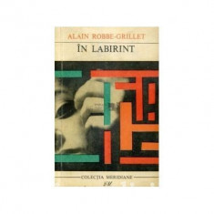 Alain Robbe - Grillet - In labirint foto