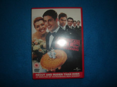 FILM AMERICAN PIE THE WEDDING foto