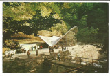 @carte postala(ilustrata) -OLANESTI-Izvorul nr 24