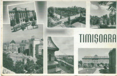 TIMISOARA foto