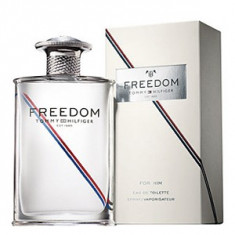 Tommy Hilfiger Freedom 2012 EDT 100 ml pentru barbati foto