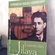 INSEMNARI DE LA JILAVA CORNELIU ZELEA CODREANU MISCAREA LEGIONARA GARDA DE FIER foto