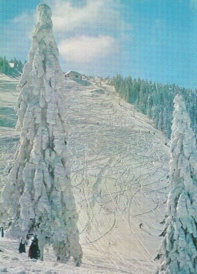 POIANA BRASOV