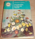 Pastrarea florilor taiate - Alexandrina Amariutei