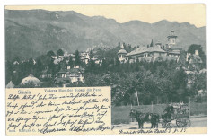 2520 - SINAIA, Prahova, salesman - old postcard - used - 1904 foto