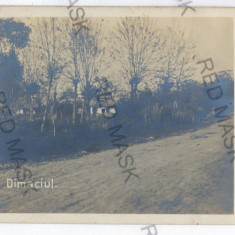 2202 - Vrancea, DIMACIUL - old postcard, real PHOTO - unused