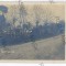 2202 - Vrancea, DIMACIUL - old postcard, real PHOTO - unused