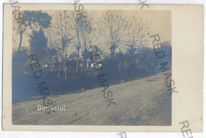 2202 - Vrancea, DIMACIUL - old postcard, real PHOTO - unused