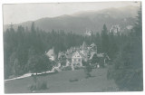 3280 - SINAIA, Prahova, Pelisor Palace - old postcard, real PHOTO - unused, Necirculata, Fotografie