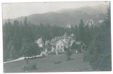 3280 - SINAIA, Prahova, Pelisor Palace - old postcard, real PHOTO - unused
