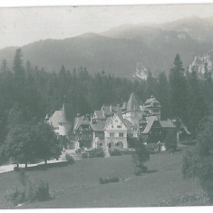 3280 - SINAIA, Prahova, Pelisor Palace - old postcard, real PHOTO - unused