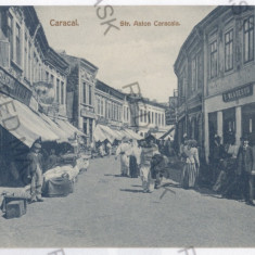 2116 - CARACAL, Olt, Market - old postcard - unused