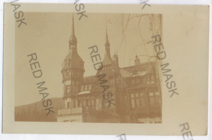 3349 - SINAIA, Prahova, Peles Palace - old postcard, real PHOTO - unused