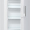 Congelator Gorenje FN6191DW, 277 l, No Frost, Clasa A+, H 185 cm, Alb