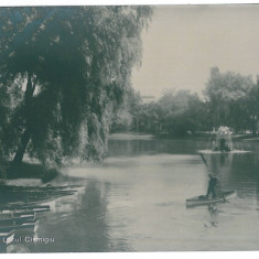 3400 - BUCURESTI, Park Cismigiu - old postcard - unused