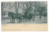 2140 - BUCURESTI, Carriage - old postcard - unused, Necirculata, Printata