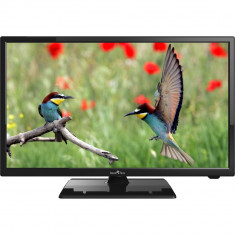 Televizor LED Smart Tech, LE-2419D, HD Ready, 60 cm, Negru foto