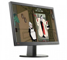 Monitor Lenovo LT2252PW, 22 inch, 1680x1050, 5ms, VGA, DVI, DisplayPort, 16.7 milioane de culori foto