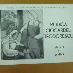 Rodica Ciocardel - Teodorescu pictura grafica catalog expozitie 1987 Bucuresti