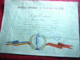Diploma acordata de Consiliul National al Femeilor RPR 1960