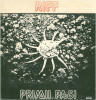 Riff - Primii Pasi (1989 - Electrecord - LP / VG), VINIL, Rock