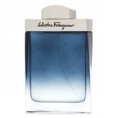 Salvatore Ferragamo Subtil Pour Homme eau de Toilette pentru barbati 100 ml foto