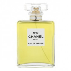 Chanel No.19 eau de Parfum pentru femei 100 ml foto