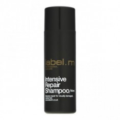 Label.M Cleanse Intensive Repair Shampoo sampon pentru par uscat si deteriorat 60 ml foto