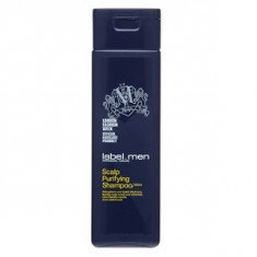 Label.M Men Scalp Purifying Shampoo sampon pentru barbati 250 ml foto