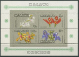 Malawi 1969 Flori, Orhidee , colita dantelata nestampilata, Nestampilat