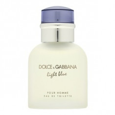 Dolce &amp;amp;amp; Gabbana Light Blue Pour Homme eau de Toilette pentru barbati 40 ml foto