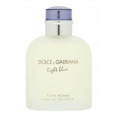 Dolce &amp;amp;amp; Gabbana Light Blue Pour Homme eau de Toilette pentru barbati 125 ml foto