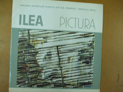 Ilea Gheorghe pictura catalog expozitie Salaj 1988 foto