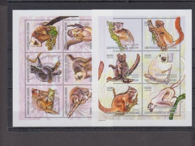 GUINEA 2001 MAIMUTE foto