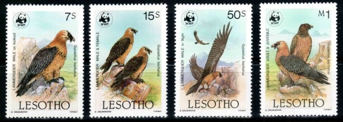 Lesotho 1986 WWF, Mi #556-559**, pasari, MNH, cota 13 €! foto mare Lesotho 1986 WWF, Mi #556-559**, pasari, MNH, cota 13 €! foto mare