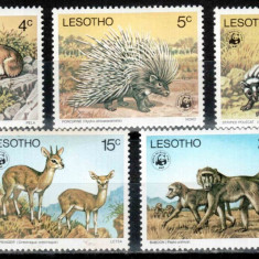 Lesotho 1977 WWF TOP SET, Mi #228-232**, animale, MNH, cota 80 €!