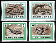 Capul Verde Cabo Verde 1986 WWF TOP SET, Mi #500-503**, soparle, MNH, cota 42 ?! foto