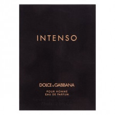 Dolce &amp;amp;amp; Gabbana Pour Homme Intenso eau de Parfum pentru barbati 75 ml foto