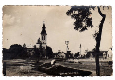 DIOSIG CENTRUL BISERICA MONUMENT BIHARDIOSZEG foto