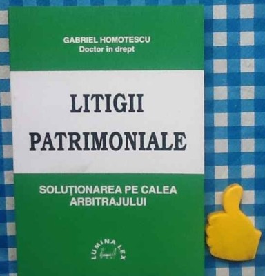 Litigii patrimoniale Gabriel Homotescu foto