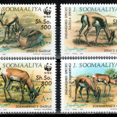 Somalia 1992 WWF, Mi #436-439**, antilope, MNH, cota 18 €!