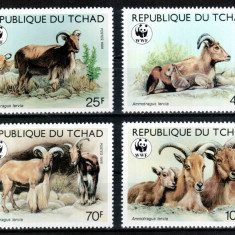 Ciad Chad Tchad 1988 WWF, Mi #1171-1174**, animale, MNH, cota 16 €!