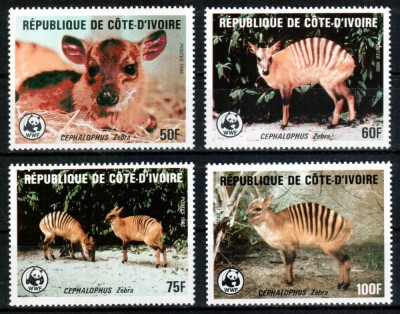 Coasta de Fildes 1985 WWF, Mi #881-884**, animale, MNH, cota 55 &amp;euro;! foto