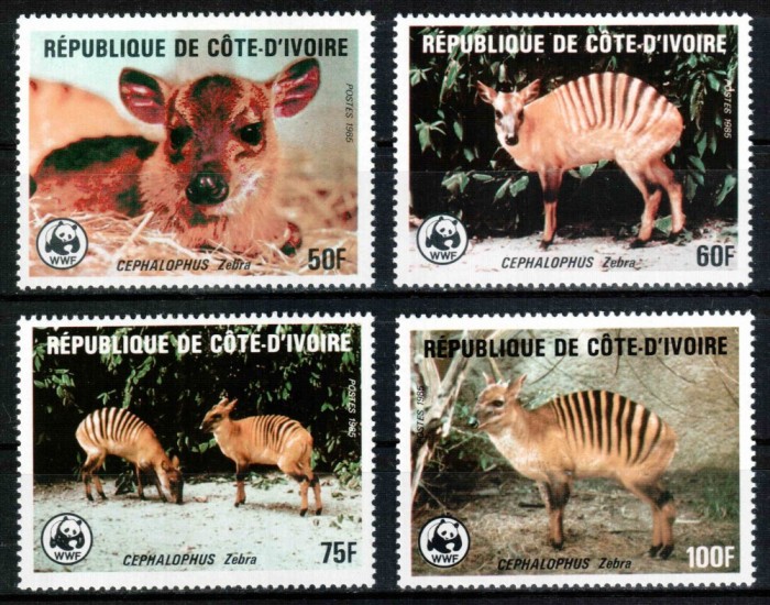 Coasta de Fildes 1985 WWF, Mi #881-884**, animale, MNH, cota 55 &euro;!