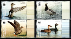 Islanda 2011 WWF, Mi #1298-1301**, gaste, MNH ! foto