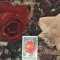 5216 - Carte maxima Romania 1981 - flora