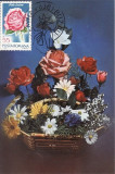 5214 - Carte maxima Romania 1981 - flora
