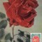 5221 - Carte maxima Romania 1981 - flora